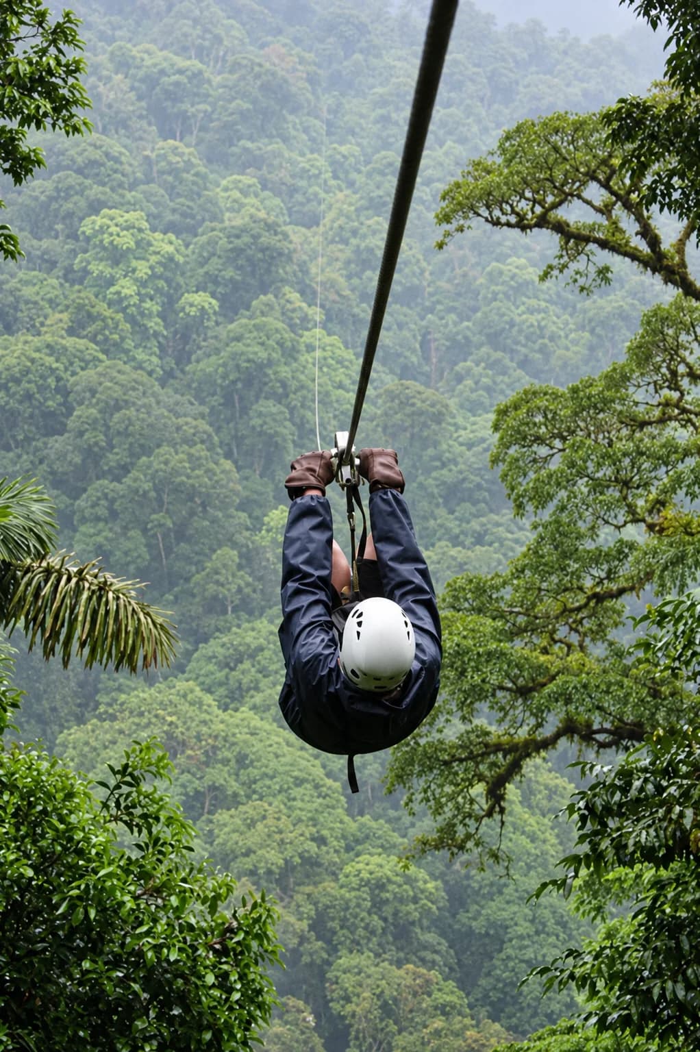 Zipline