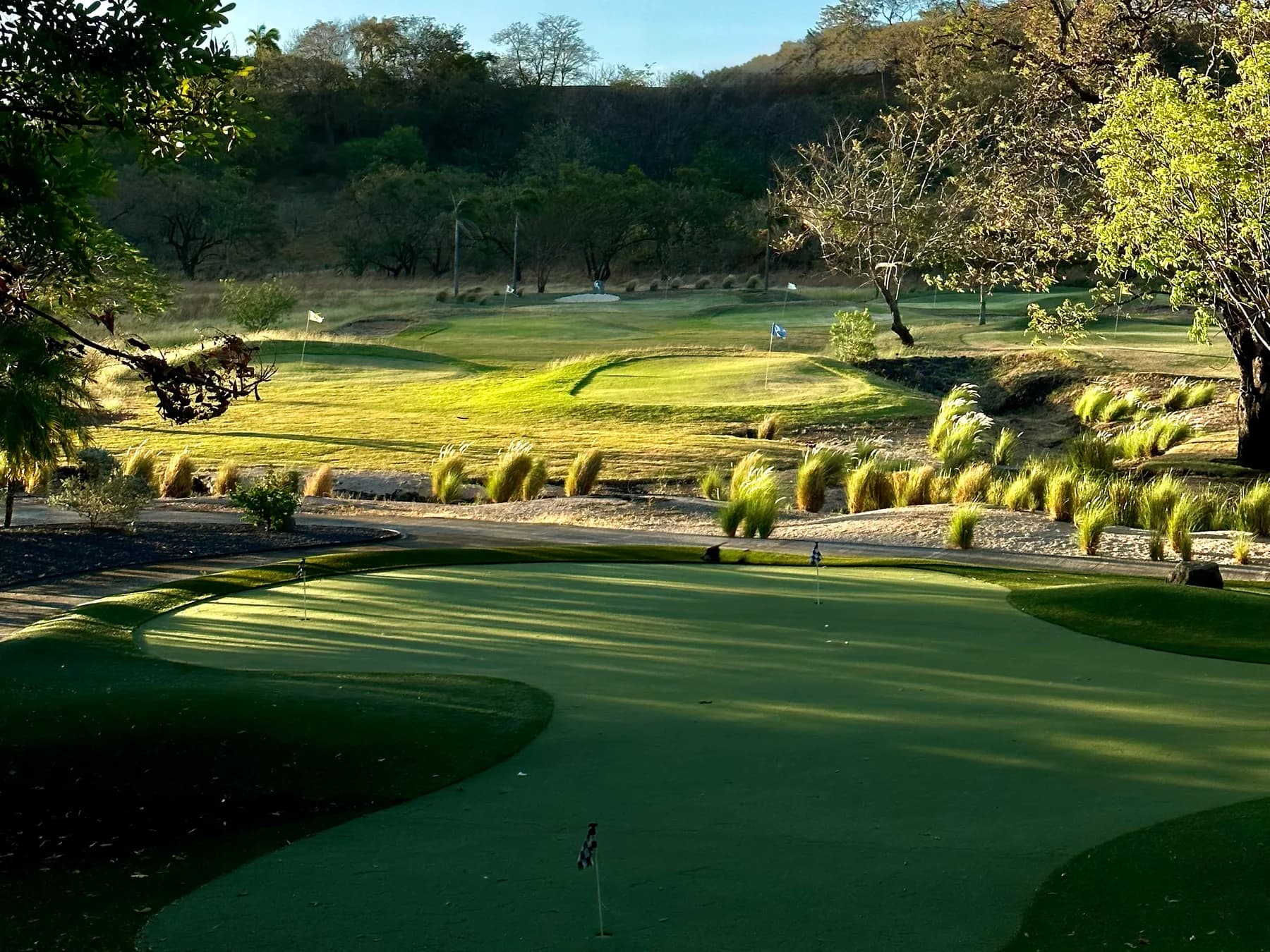 The putting green on the ranch in late light, the driving range and its target greens beyond